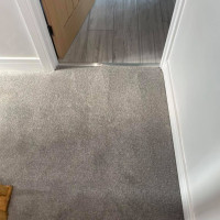carpet going into laminate flooring