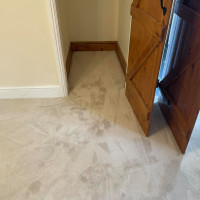 Soft beige carpet