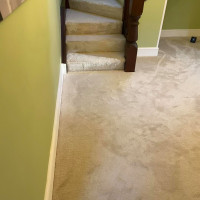 green hall with cream carpet fitted